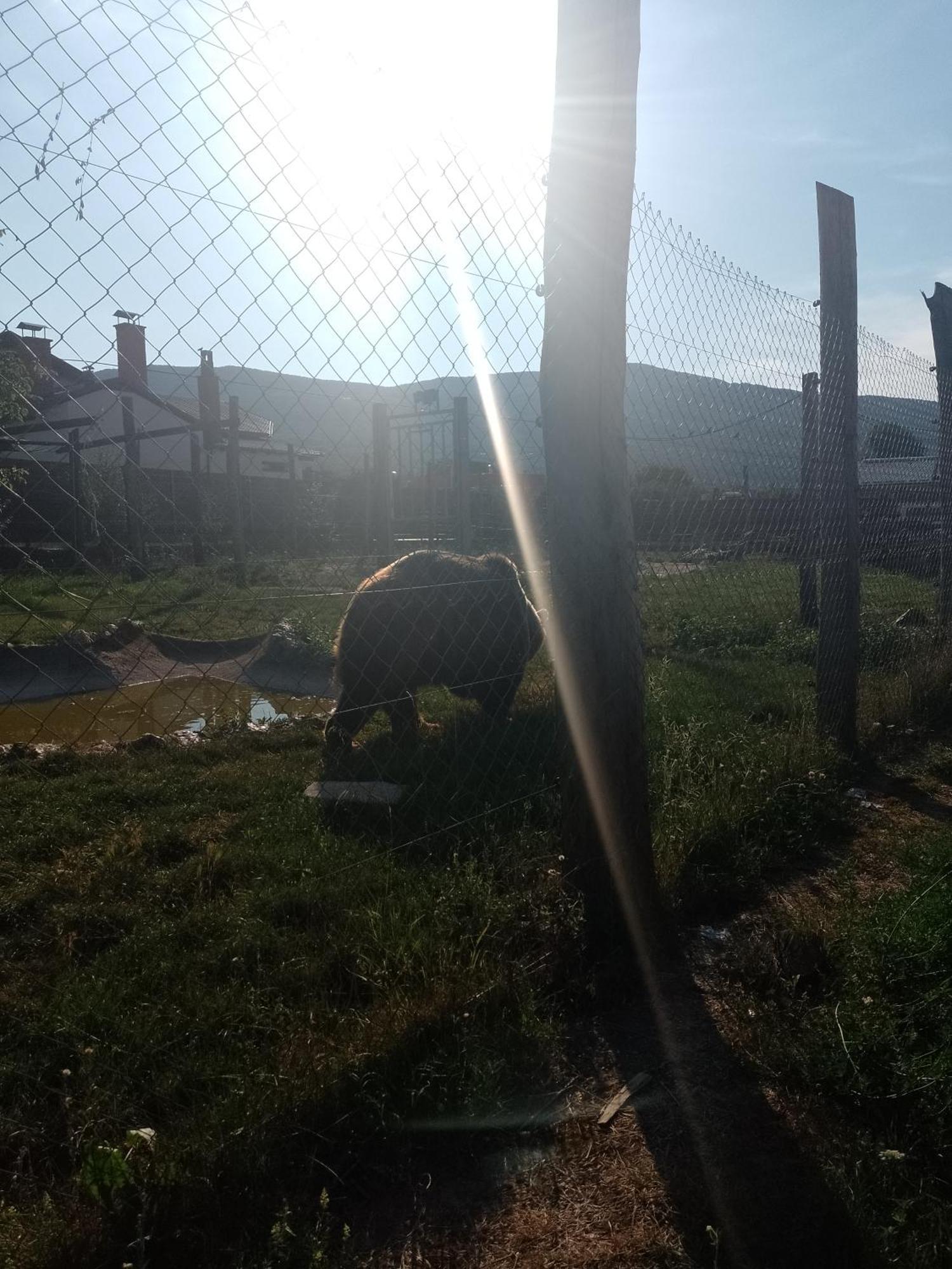 Apartman Djak Plitvička Jezera Екстериор снимка